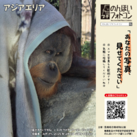 アジアエリア(2026年1月掲示)