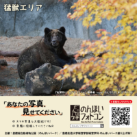 猛獣エリア(2026年1月掲示)