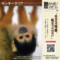 モンキーエリア(2026年1月掲示)