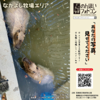 なかよし牧場エリア(2026年1月掲示)