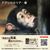 アフリカエリア・東（2026年2月掲示）