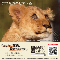 アフリカエリア・西（2026年2月掲示）