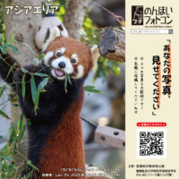 アジアエリア（2026年2月掲示）