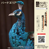 バードエリア（2026年2月掲示）