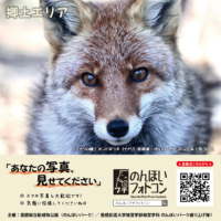 郷土エリア（2026年2月掲示）