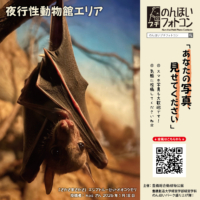 夜行性動物館エリア（2026年2月掲示）