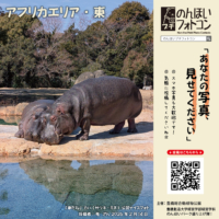 アフリカエリア・東（2026年3月掲示）