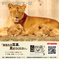 アフリカエリア・西（2026年3月掲示）