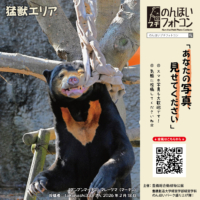 猛獣エリア（2026年3月掲示）