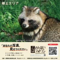 郷土エリア（2026年3月掲示）