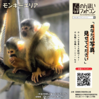 モンキーエリア（2026年3月掲示）