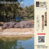 アフリカエリア・東(2026年6月掲示)