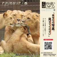アフリカエリア・西(2026年6月掲示)