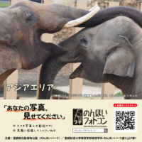アジアエリア(2026年6月掲示)