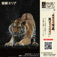 猛獣エリア(2026年6月掲示)