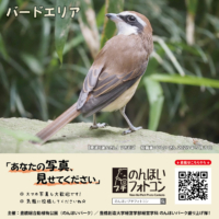 バードエリア(2026年6月掲示)