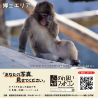 郷土エリア(2026年6月掲示)