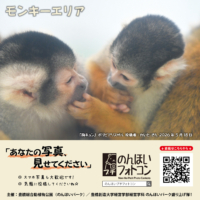 モンキーエリア(2026年6月掲示)