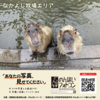 なかよし牧場エリア(2026年6月掲示)