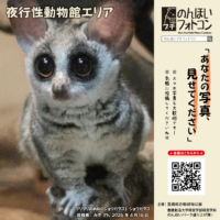 夜行性動物館エリア(2026年6月掲示)