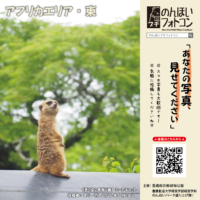 アフリカエリア・東（2026年7月掲示）