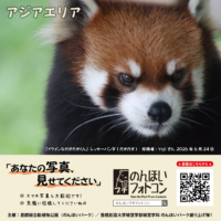 アジアエリア（2026年7月掲示）