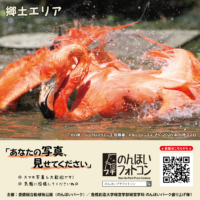 郷土エリア（2026年7月掲示）