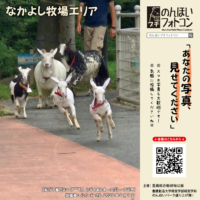 なかよし牧場エリア（2026年7月掲示）