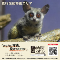 夜行性動物館エリア（2026年7月掲示）
