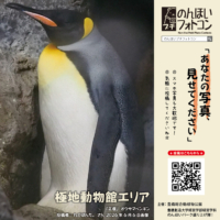 極地動物館エリア（2026年7月掲示）