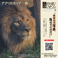 アフリカエリア・西（2026年8月掲示）