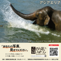 アジアエリア（2026年8月掲示）
