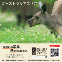 オーストラリアエリア（2026年8月掲示）