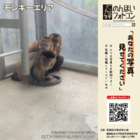 モンキーエリア（2026年8月掲示）
