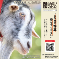 なかよし牧場エリア（2026年8月掲示）