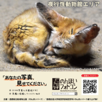 夜行性動物館エリア（2026年8月掲示）
