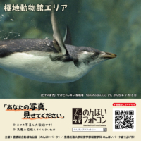 極地動物館エリア（2026年8月掲示）