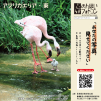 アフリカエリア・東(2026年9月掲示)