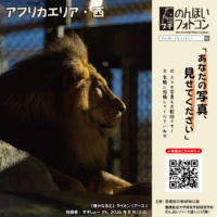 アフリカエリア・西(2026年9月掲示)