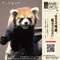アジアエリア(2026年9月掲示)