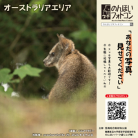 オーストラリアエリア(2026年9月掲示)