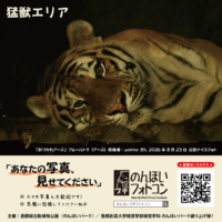 猛獣エリア(2026年9月掲示)