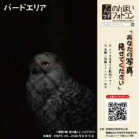 バードエリア(2026年9月掲示)