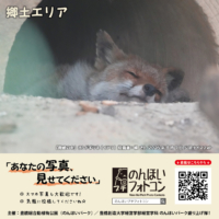 郷土エリア(2026年9月掲示)