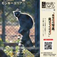 モンキーエリア(2026年9月掲示)