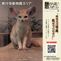 夜行性動物館エリア(2026年9月掲示)