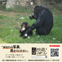 アフリカエリア・東(2026年10月掲示)