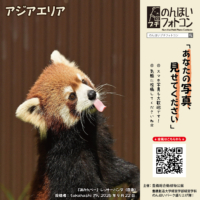 アジアエリア(2026年10月掲示)