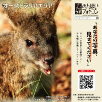 オーストラリアエリア(2026年10月掲示)