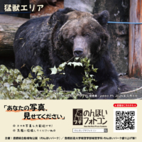 猛獣エリア(2026年10月掲示)